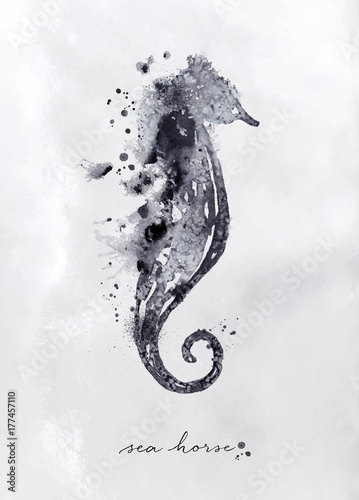 Monotype seahorse black