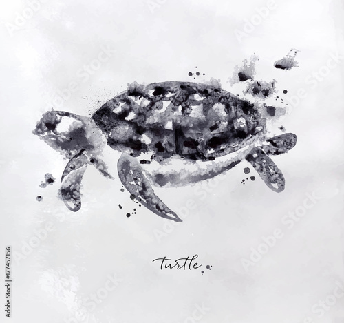 Obraz na płótnie Monotype turtle black w salonie