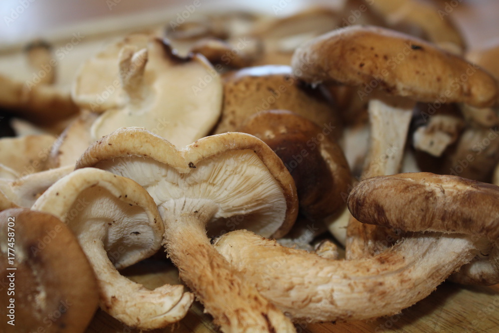 MushroomCuttingBoard MushroomCuttingBoard