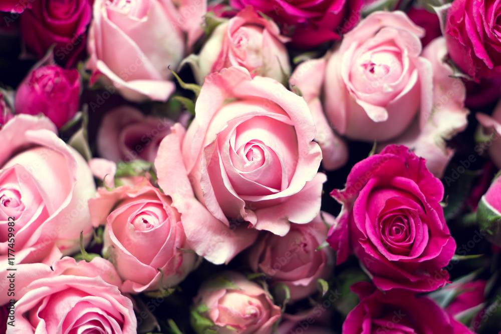 bouquet of beautiful roses