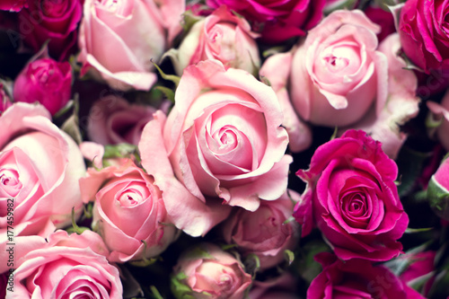 bouquet of beautiful roses