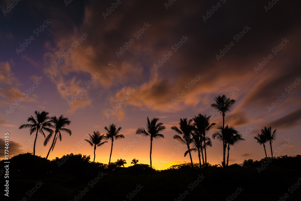 Obraz premium Aloha Sunrise. Idyllic Hawaiian sunrise with silhouette of palm trees and a very colorful sky from secret beach on the tropical island of Maui