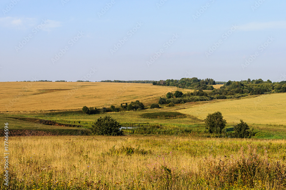 Country landscape with yellow fields and meadows