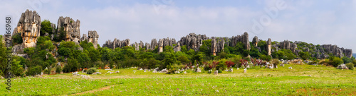 Photography Panomaric view of Naigu Shilin limestone pinnacles Stone forest, Yunnan Province - China
