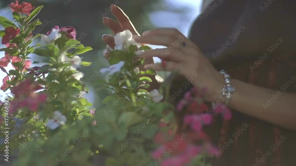 Close up woman smelling small pink flowers in pots Close up woman smelling small pink flowers in pots