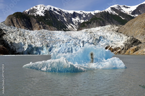 Glacier in Tracy Arm Fjord, Alaska, USA