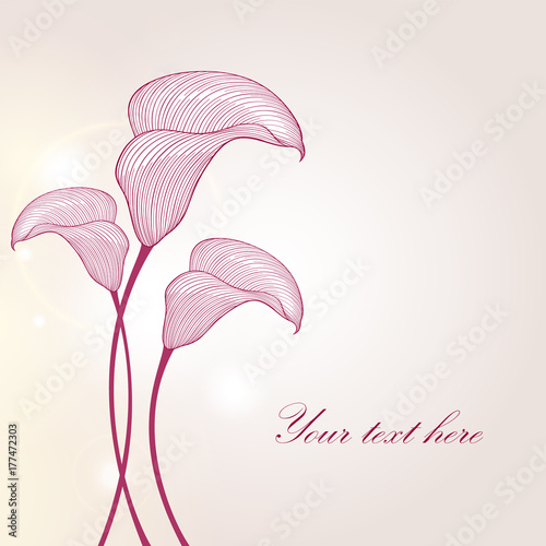 Fototapeta Naklejka Na Ścianę i Meble -  Hand-drawing floral background with flower calla. Element for design. Vector illustration.