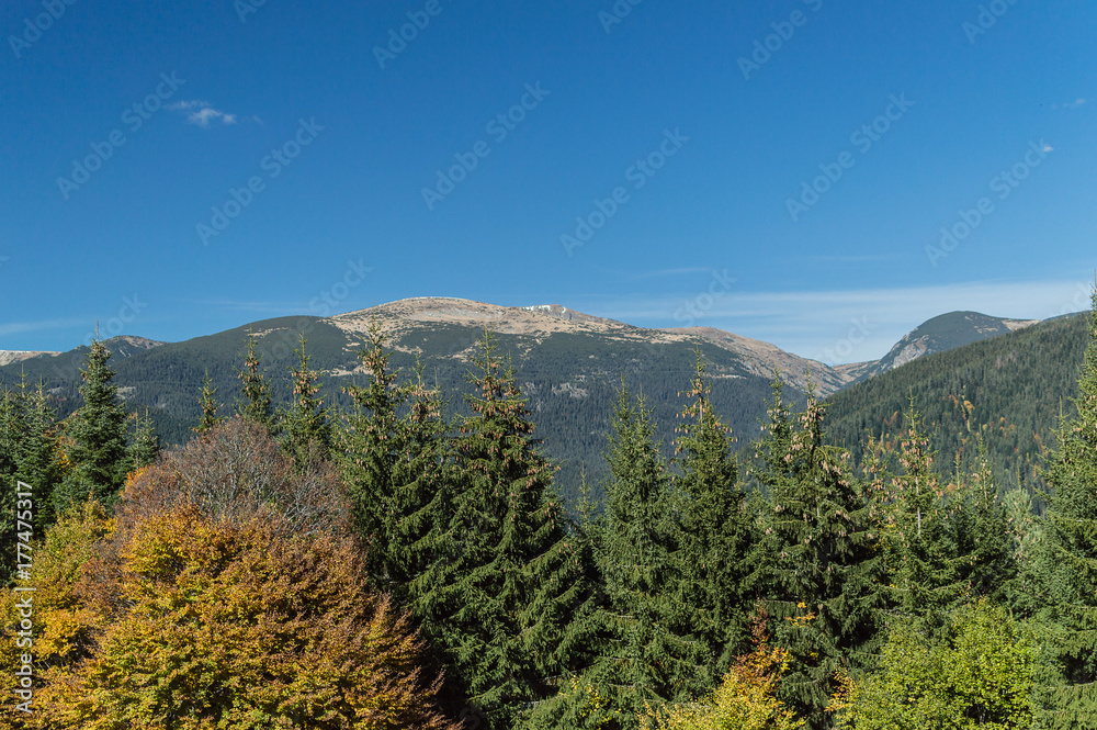 Fototapeta premium Peaks and forest, Autumn 2017