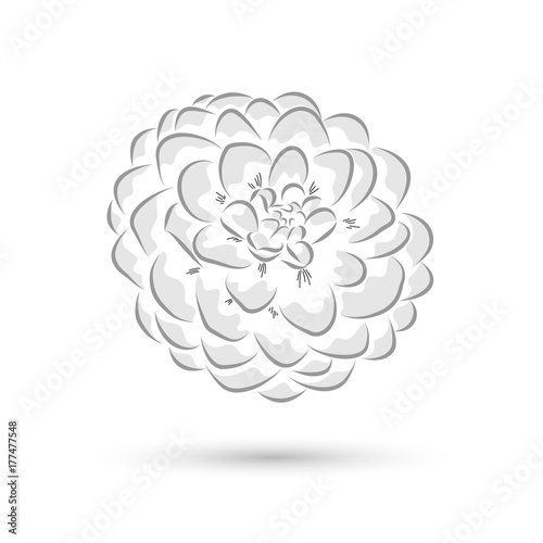 Fototapeta Naklejka Na Ścianę i Meble -  Abstract floral background. Vector flower dahlia. Element for design.