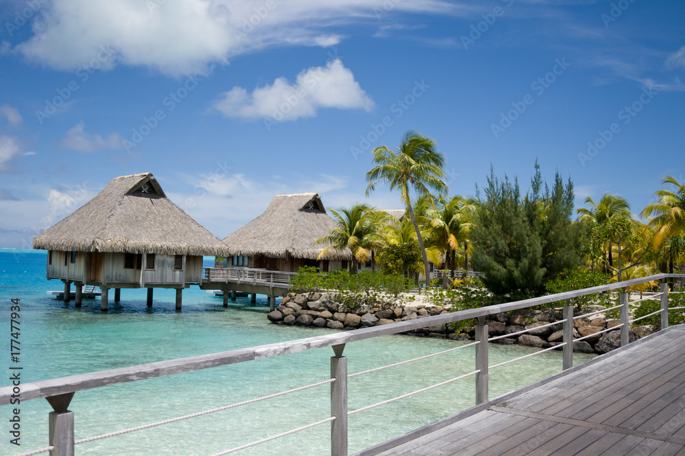 Fototapeta premium bora bora 