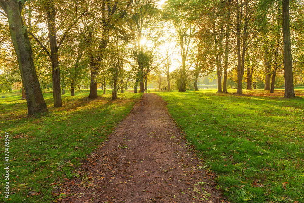 Obraz premium jesień