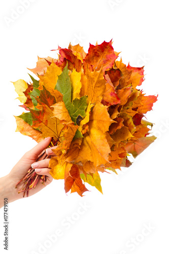 Female hand bouquet of autumn leaves