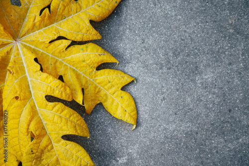 Autumn Background.