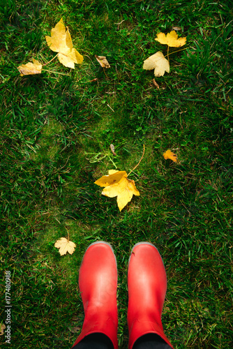 high angle view of woman in red rubber boots on green grass full of autumn leaves photo