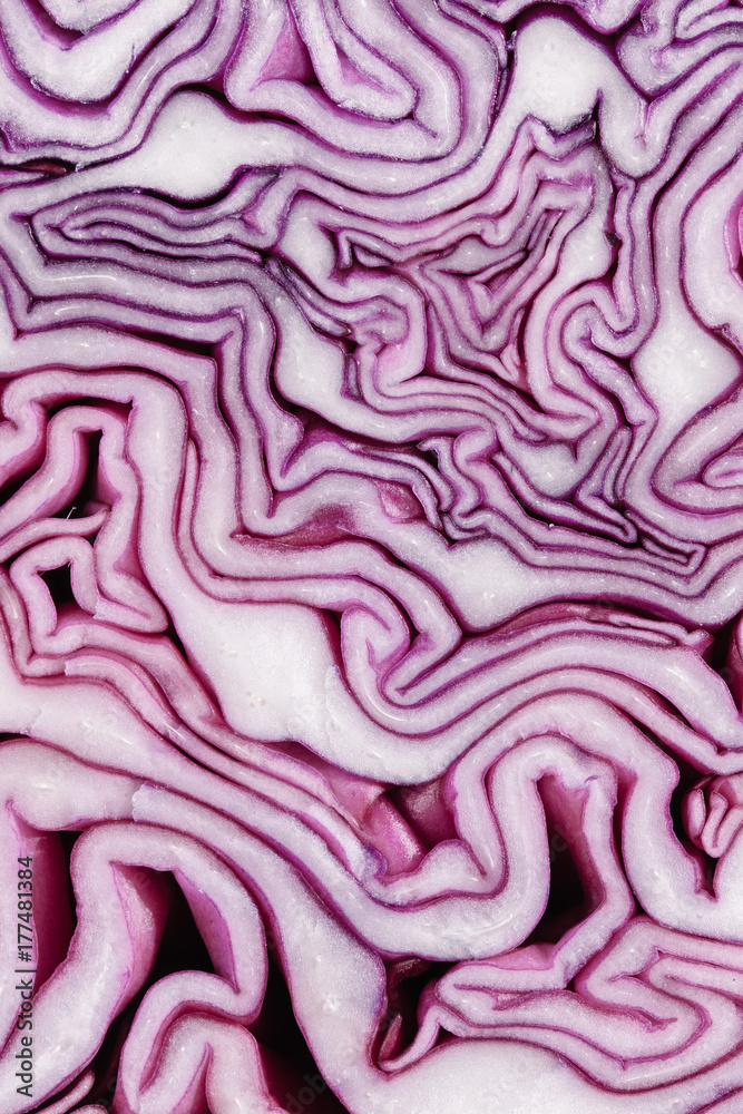 Red (purple) cabbage slice macro creating abstract pattern Red (purple) cabbage slice macro creating abstract pattern