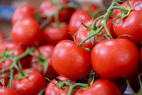closeup of vine tomatoes © auremar