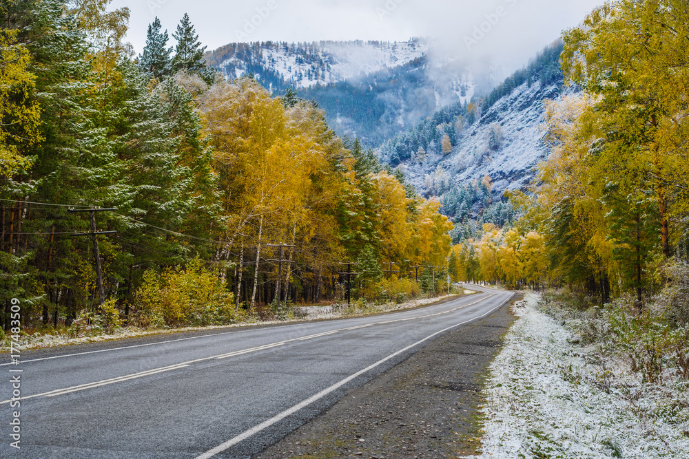 The road that runs through the autumn woods. The road that runs through the autumn woods.