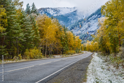 The road that runs through the autumn woods.