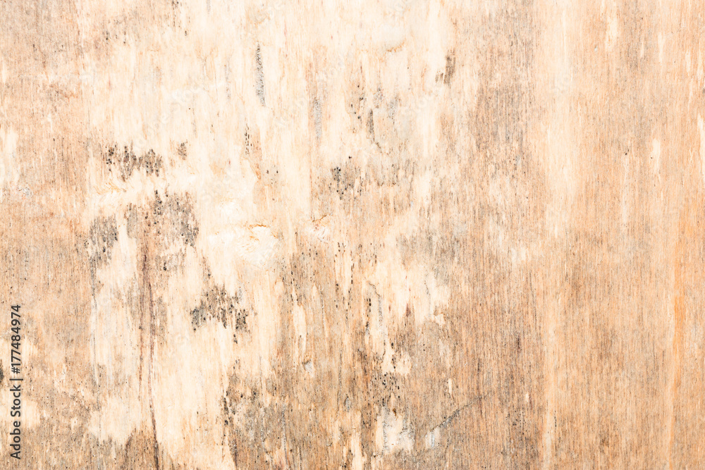 wood texture very old oak, the rough wood is not uniform wood texture very old oak, the rough wood is not uniform