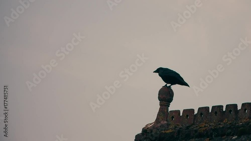 Large crow on the rooftop of a cemetery chapel flying away in slow motion photo