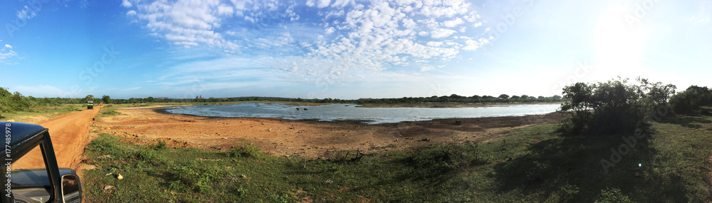 Panorama from the jeep of the safari on a beautiful day