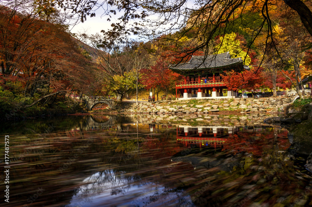 Fototapeta premium baegyangsa temple in autumn