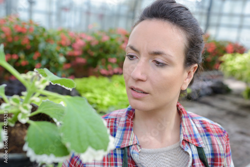 Foto female scientist checking plants and flowers