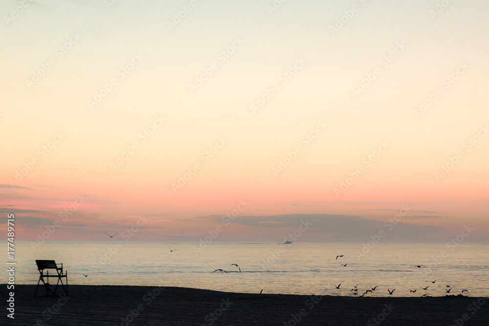 sunrise sunset beach birds