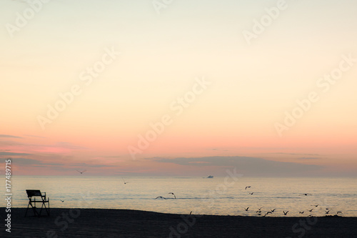 sunrise sunset beach birds