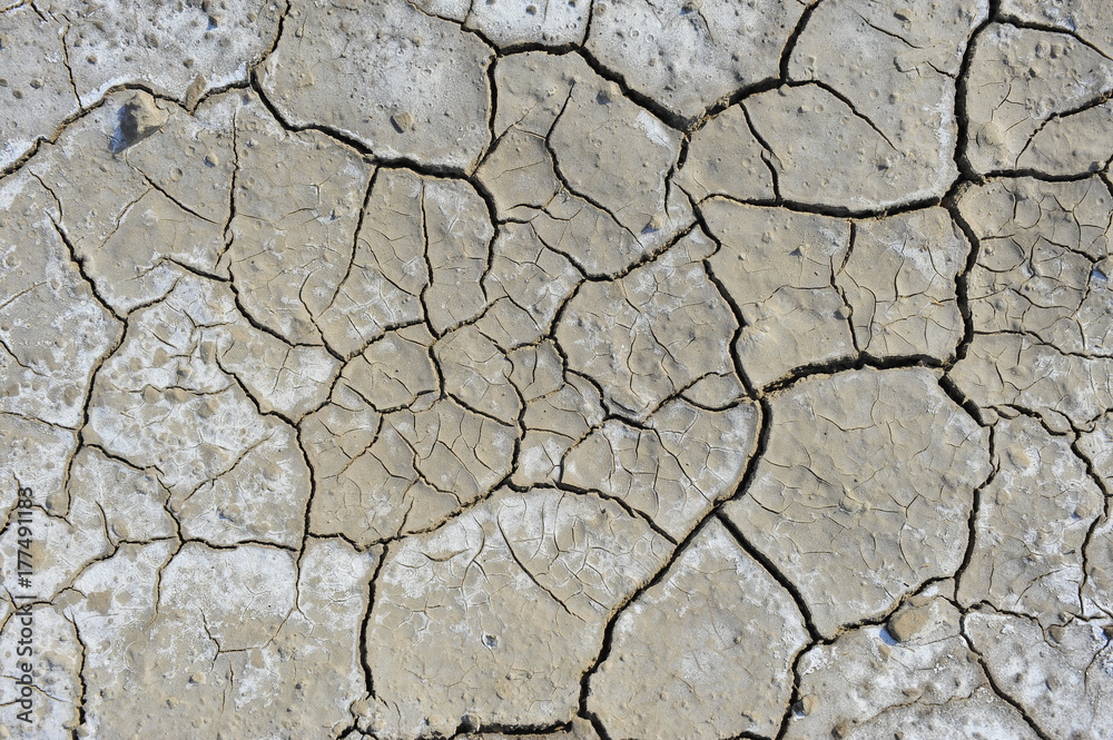 Dry soil cracking