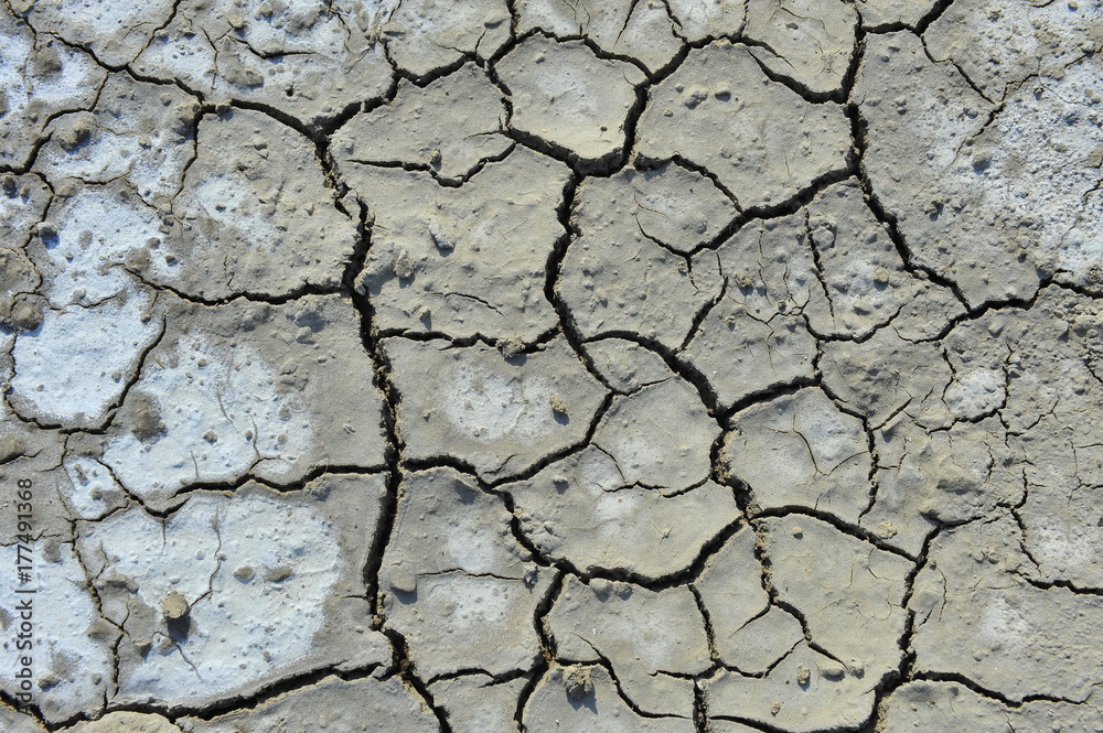 Fototapeta premium Dry soil cracking