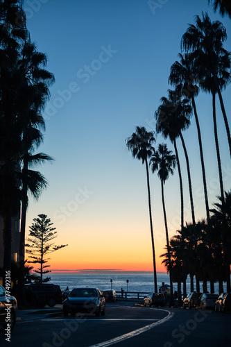 Palm silhouettes on dramatic sunset sky at La Jolla ocean shores, California