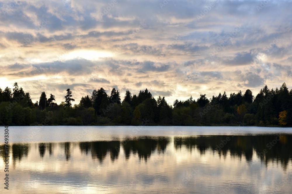 nature nature