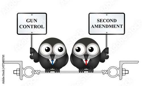 Gun control verses the USA second amendment and the right to keep and bear arms