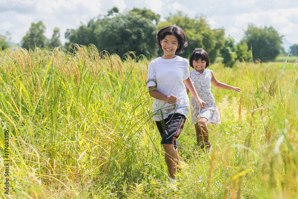 Two children runing in the rice paddies. playing fun in summer time