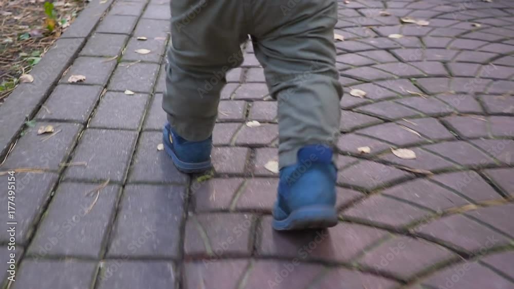 one year old boy playing outdoors at autumn day. one year old boy playing outdoors at autumn day.