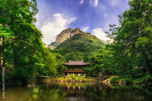 Baegyangsa temple in summer