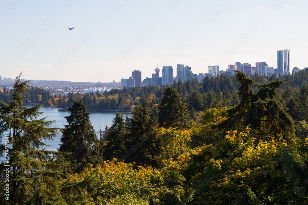 Stanley Park Forest and the City