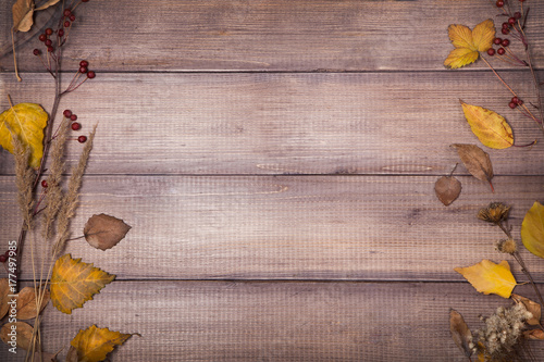 Autumn leaves and berries over old wooden background with copy space