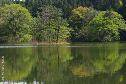 新緑の数河池　鳥海山の麓の溜池　Sakata, Yamagata, Japan