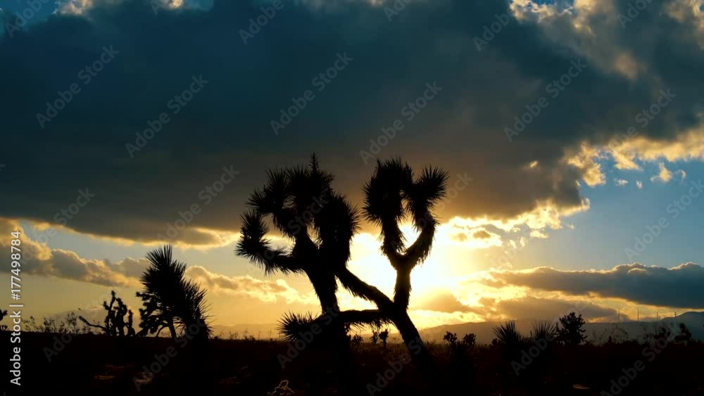 Desert Sunset Time Lapse