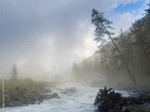 the river on a background of mountains and forests in the fog Akkem river, is at the foot of the Belukha mountain, Altai Mountains, Russia