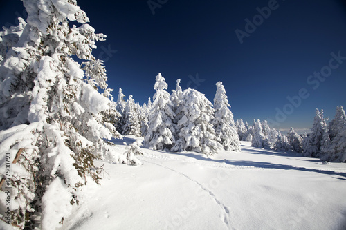 Snowy winter landscape with footsteps