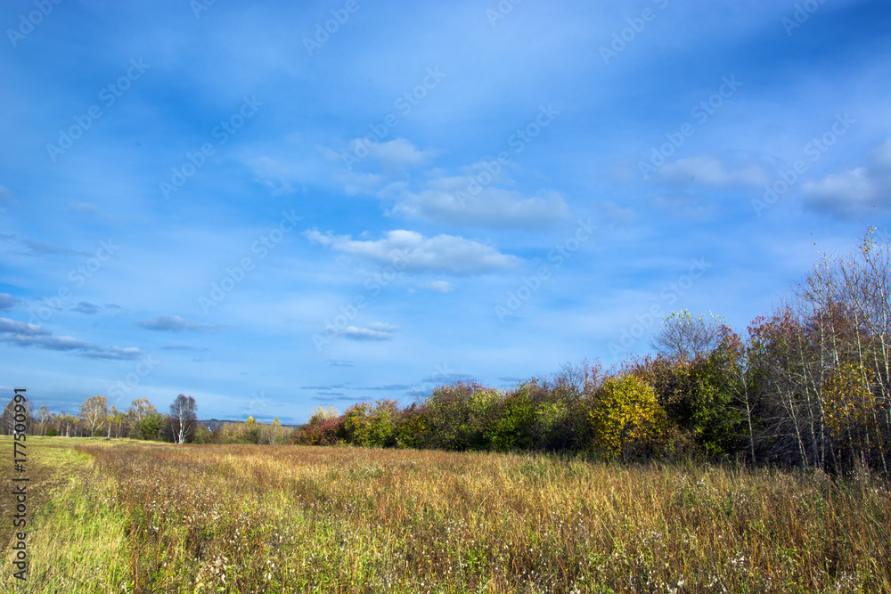 beautiful landscape