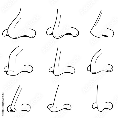 vector set of nose