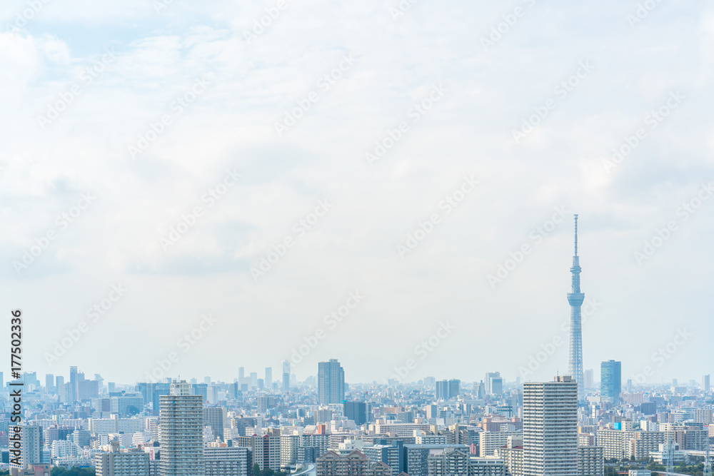 Fototapeta premium 東京風景