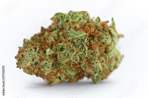 Close up of prescription medical marijuana strain Tahoe OG flower on white background