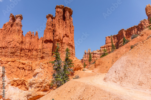 Beautiful landscape. Green pine-trees on rock slopes. Scenic view of the canyon. Bryce Canyon National Park. Utah. USA