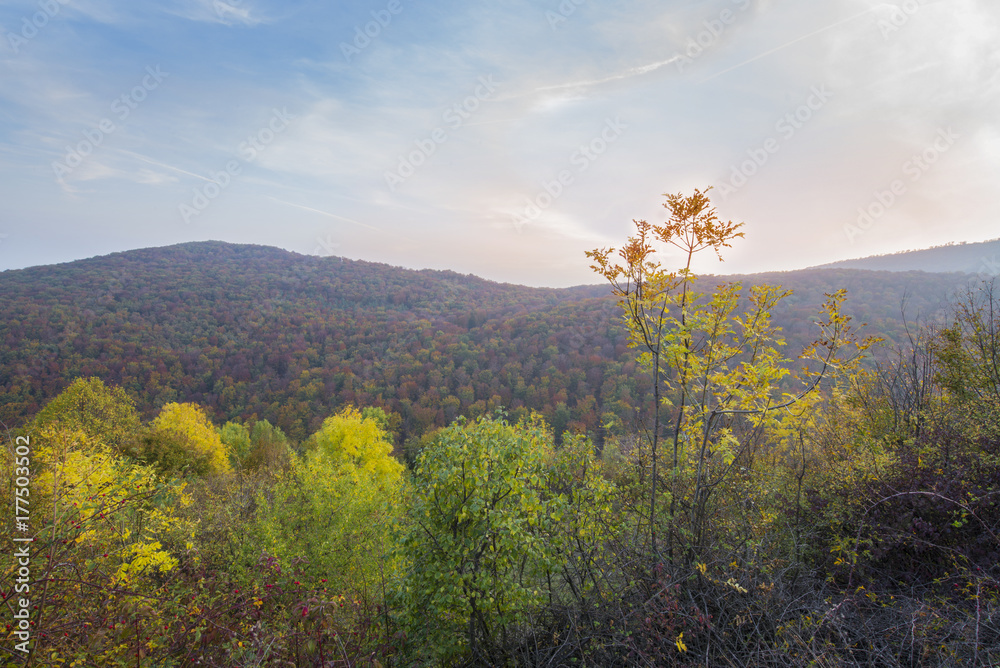 Mountain with rocks in the fall yellow and red color. Autumn scene. Mountain with rocks in the fall yellow and red color. Autumn scene.