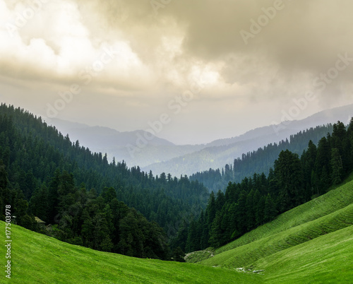 Panoramic landscape of Janjehli Valley, Himalayas photo